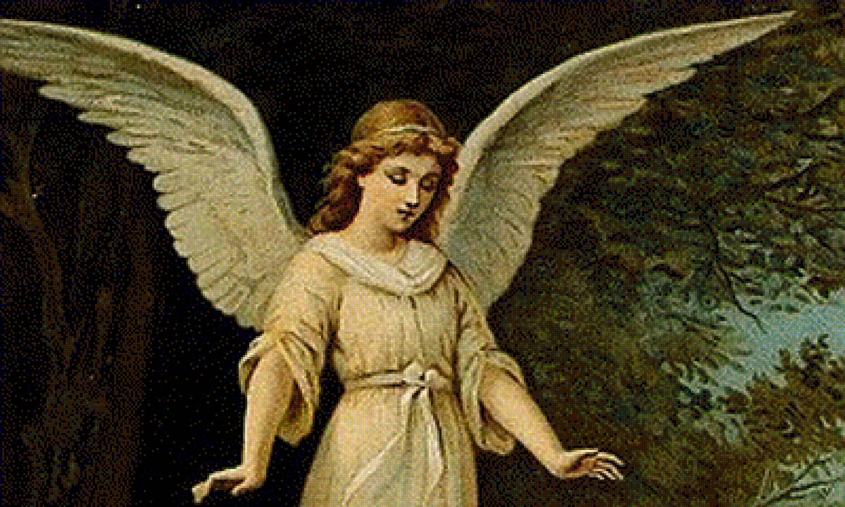 Angel - предпросмотр