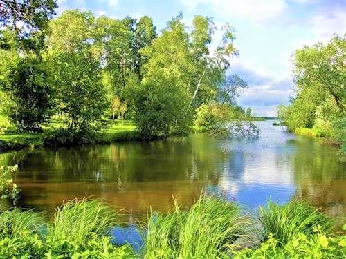 №2016809 - вода, природа, пейзаж - оригинал