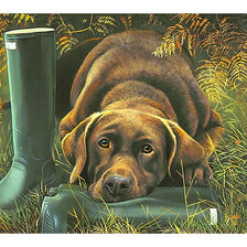 Схема вышивки «Серия "Собаки".»