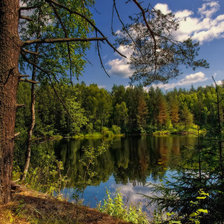 Схема вышивки «№2017134»