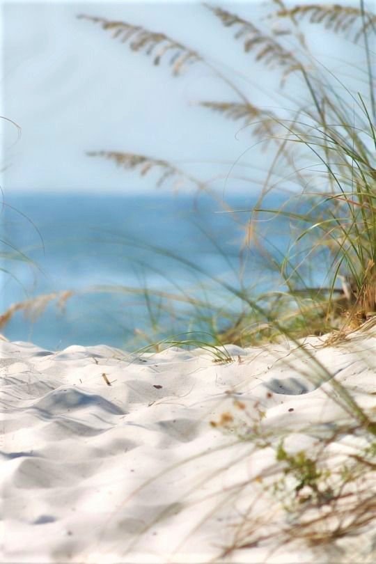 №2017139 - оригинал