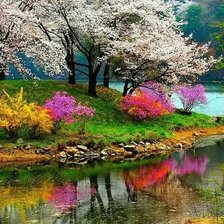 Схема вышивки «№2017566»