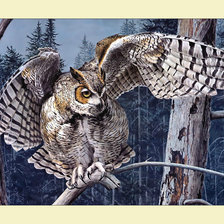 Схема вышивки «Филин.»