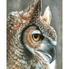 Схема вышивки «Филин.»