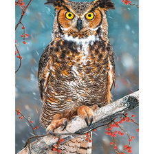 Схема вышивки «Филин.»