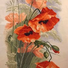 Схема вышивки «Pipacsok»