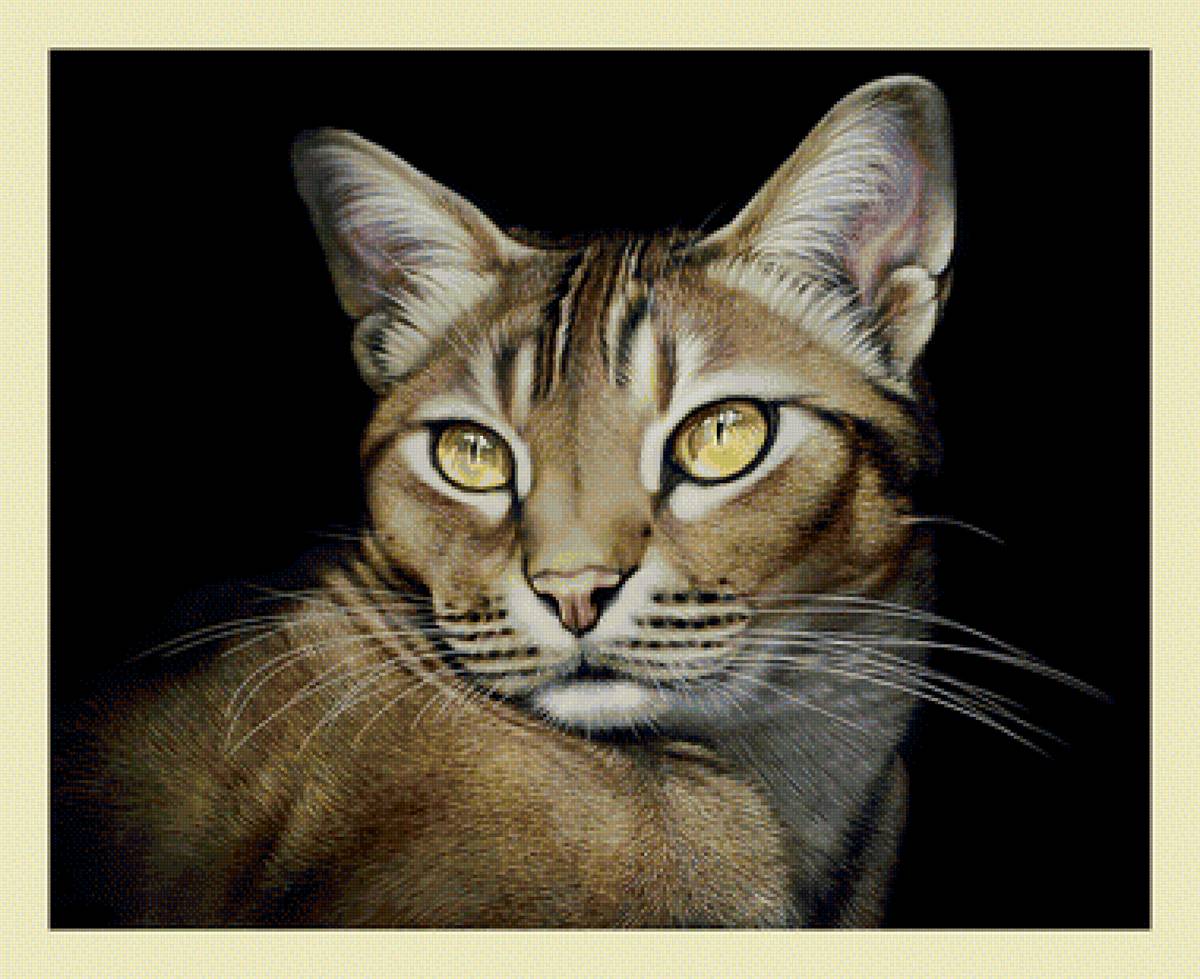 Кот. - кот, живопись, кошка - предпросмотр