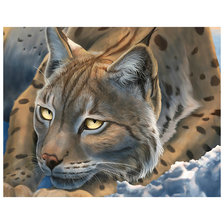 Схема вышивки «Рысь.»