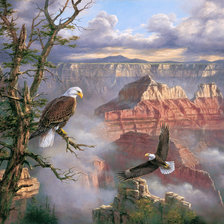 Схема вышивки «Мир птиц»