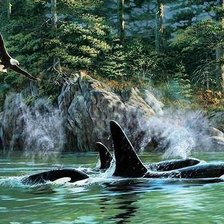 Схема вышивки «Мир животных»