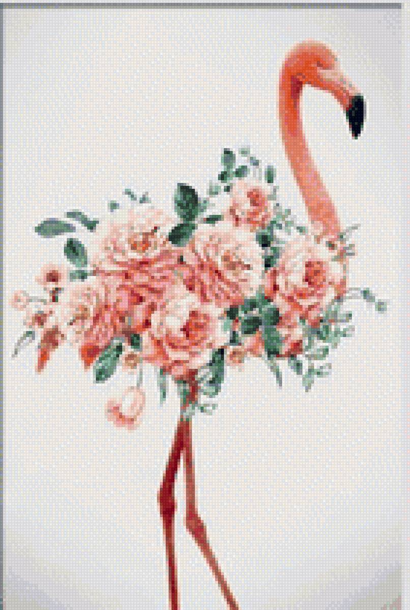 Фламинго - птицы - предпросмотр