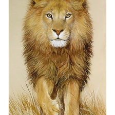 Схема вышивки «Серия "Хищники". Лев»
