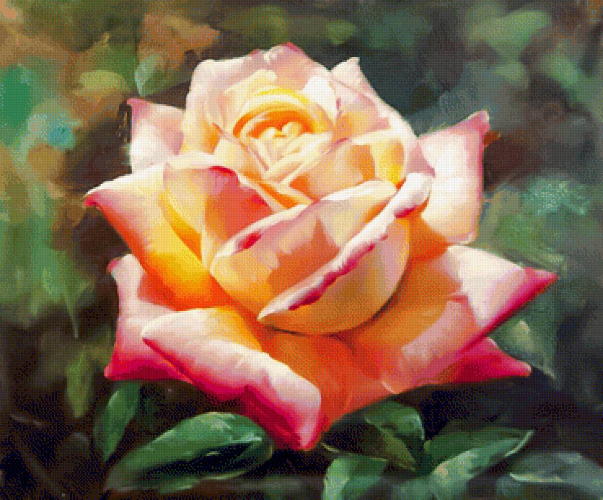 Tea Rose. - flowers and gardens. - предпросмотр