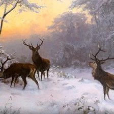 Схема вышивки «№2018523»