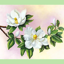 Схема вышивки «Серия "Магнолии"»