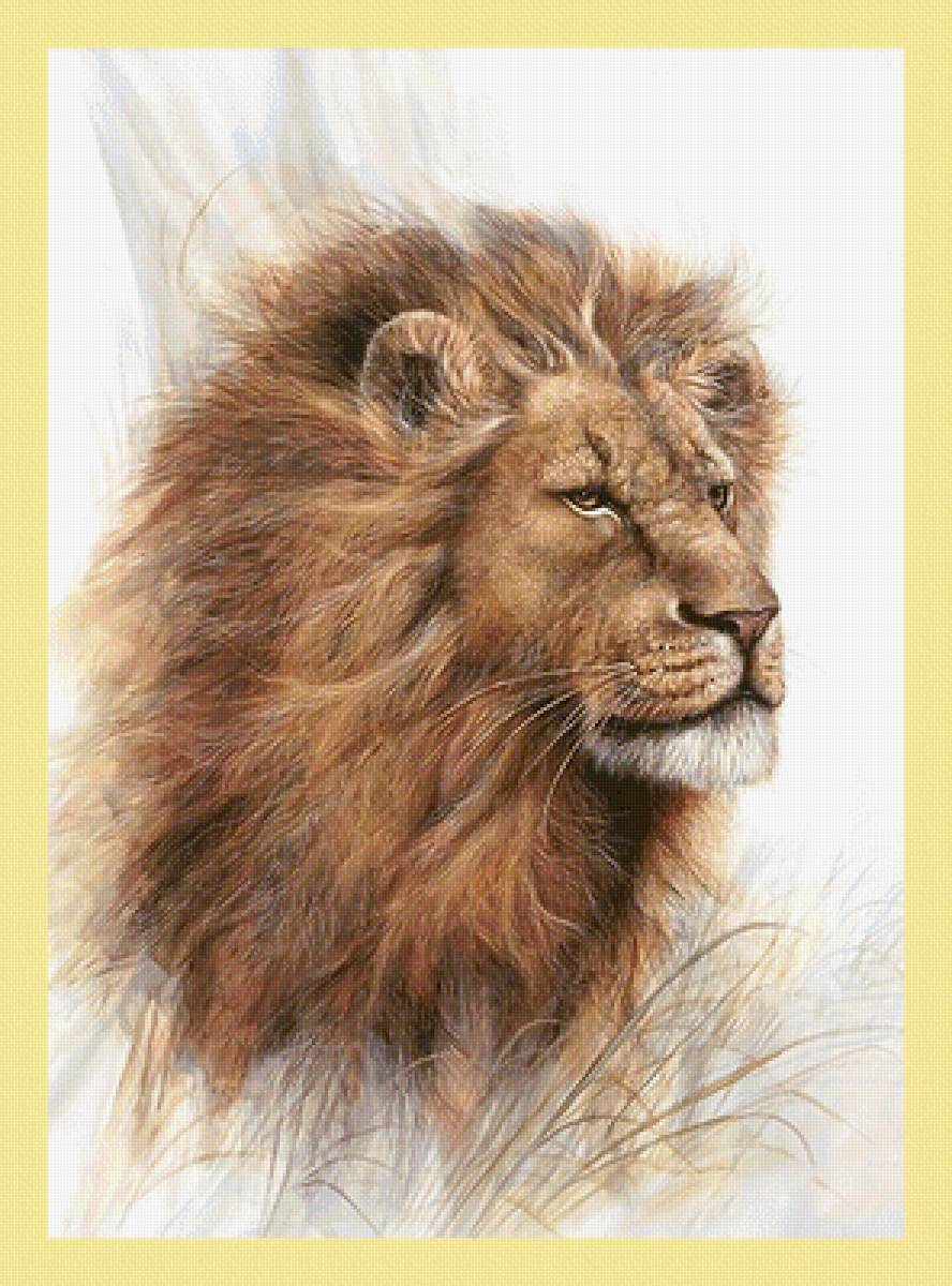 Серия "Хищники". Лев - лев, хищники, животные - предпросмотр