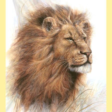 Схема вышивки «Серия "Хищники". Лев»