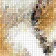 Предпросмотр схемы вышивки «Дружба» (№2018751)