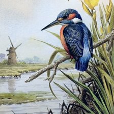 Схема вышивки «№2018753»