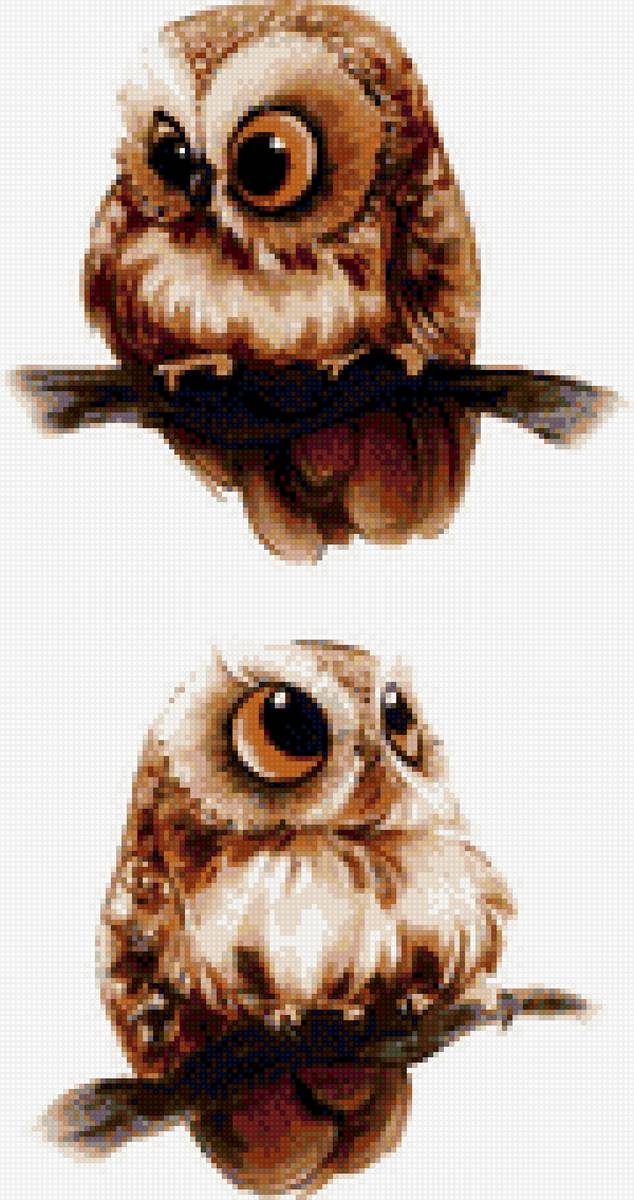 Два совенка - совы - предпросмотр