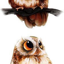 Схема вышивки «Два совенка»