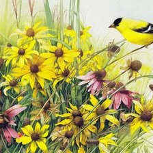 Схема вышивки «синичка»