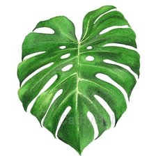 Схема вышивки «Лист 2»