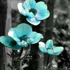 Схема вышивки «Бирюзовые цветы»