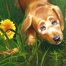 Схема вышивки «Привет»