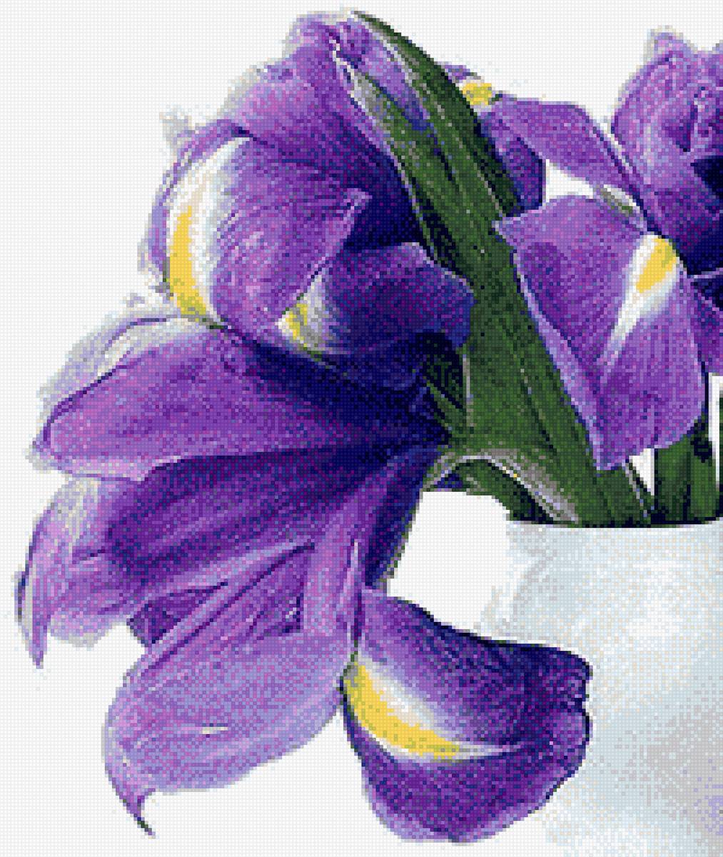 Лиловый всплеск - цветы, ирисы - предпросмотр