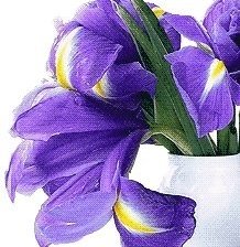 Лиловый всплеск