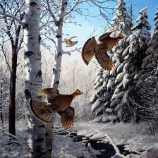 Схема вышивки «птицы»