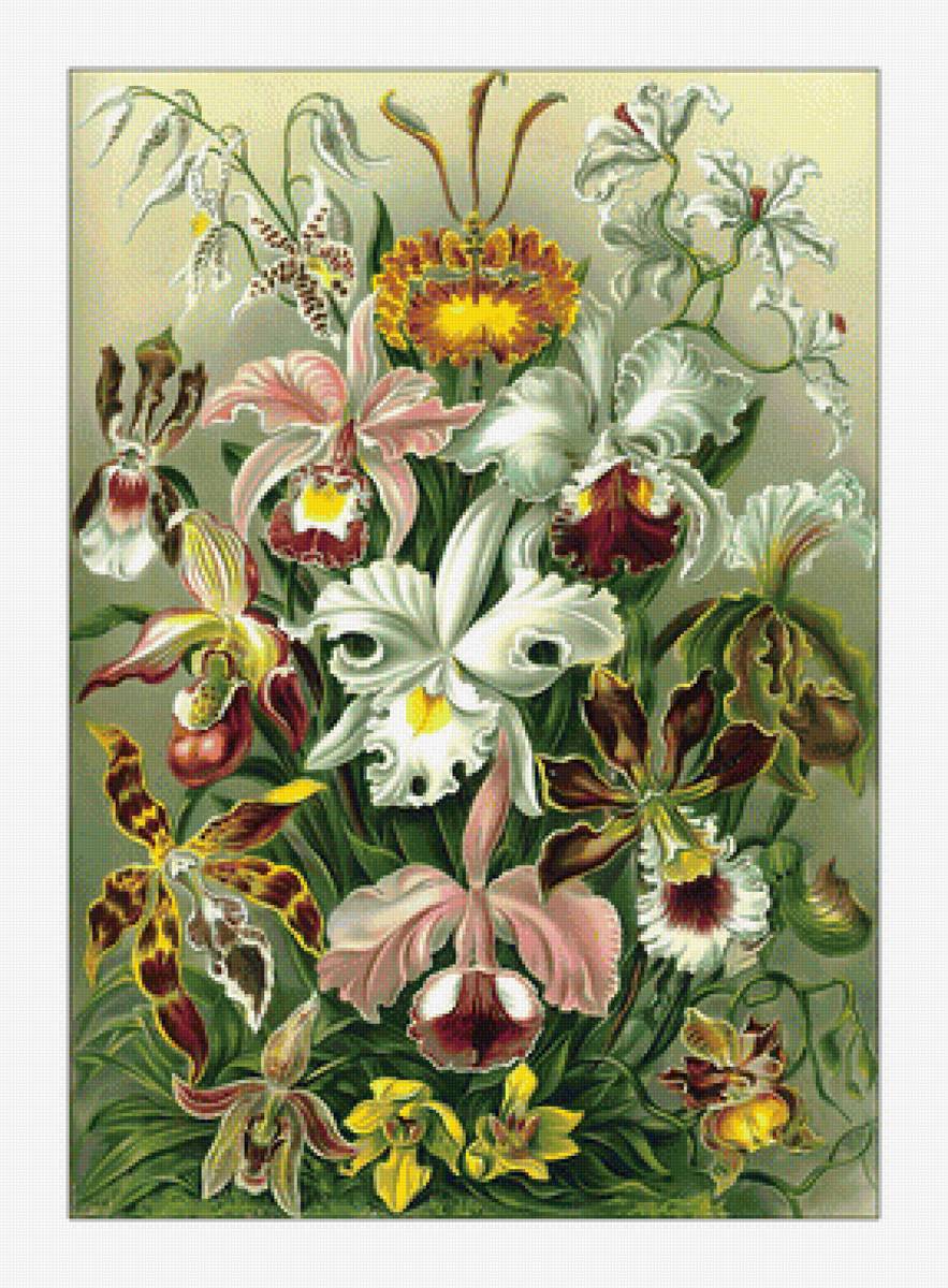 Цветы. - цветы, живопись, букет - предпросмотр