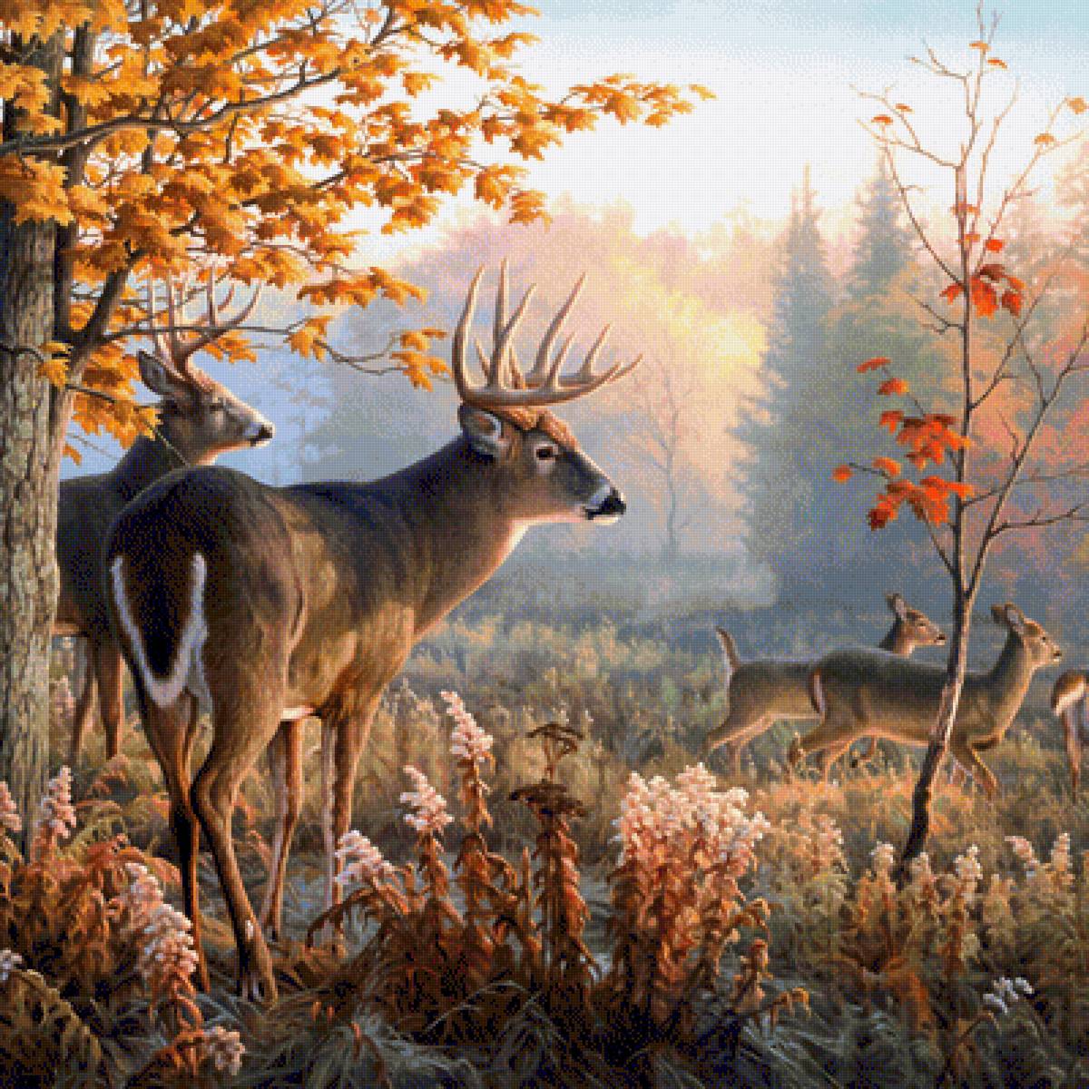 В осеннем лесу - осень, лес, природа, олени - предпросмотр