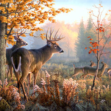 Схема вышивки «В осеннем лесу»