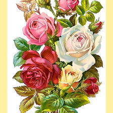 Схема вышивки «Серия "Винтаж". Розы»