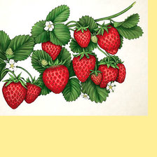 Схема вышивки «Серия "Фруктово-ягодная". Клубничка»