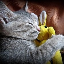 Схема вышивки «№2019835»