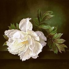 Схема вышивки «№2019854»