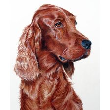 Схема вышивки «собака»