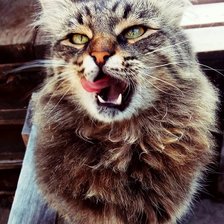 Схема вышивки «Барсяо»