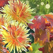 Схема вышивки «№2019925»