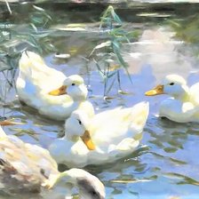 Схема вышивки «№2019987»