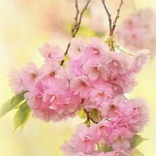 Схема вышивки «№2020012»