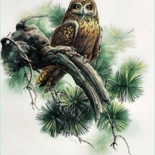 Схема вышивки «сова»