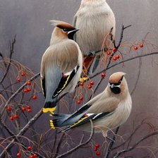 Схема вышивки «Птицы»