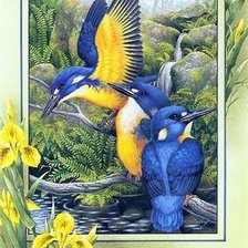 Схема вышивки «Птицы»