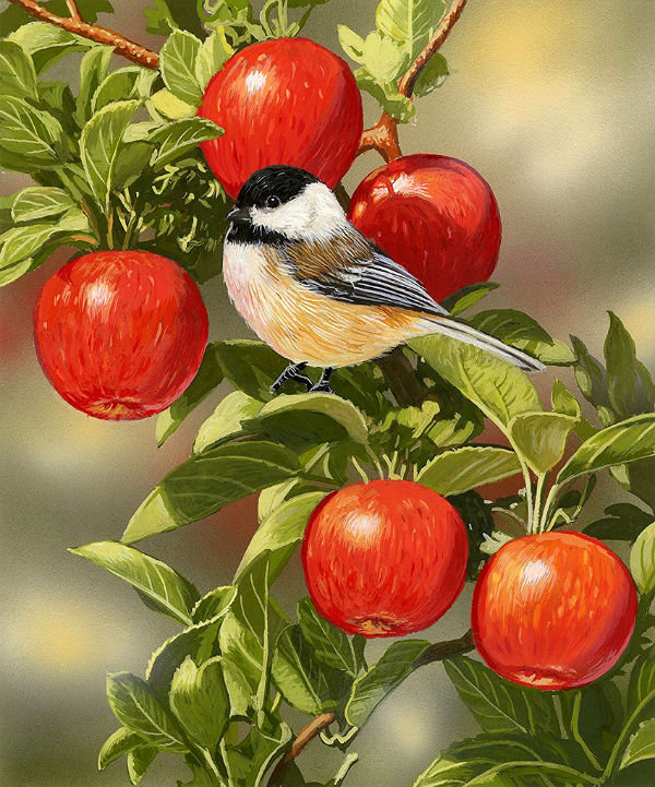 созрели яблоки - яблоки, птичка - оригинал