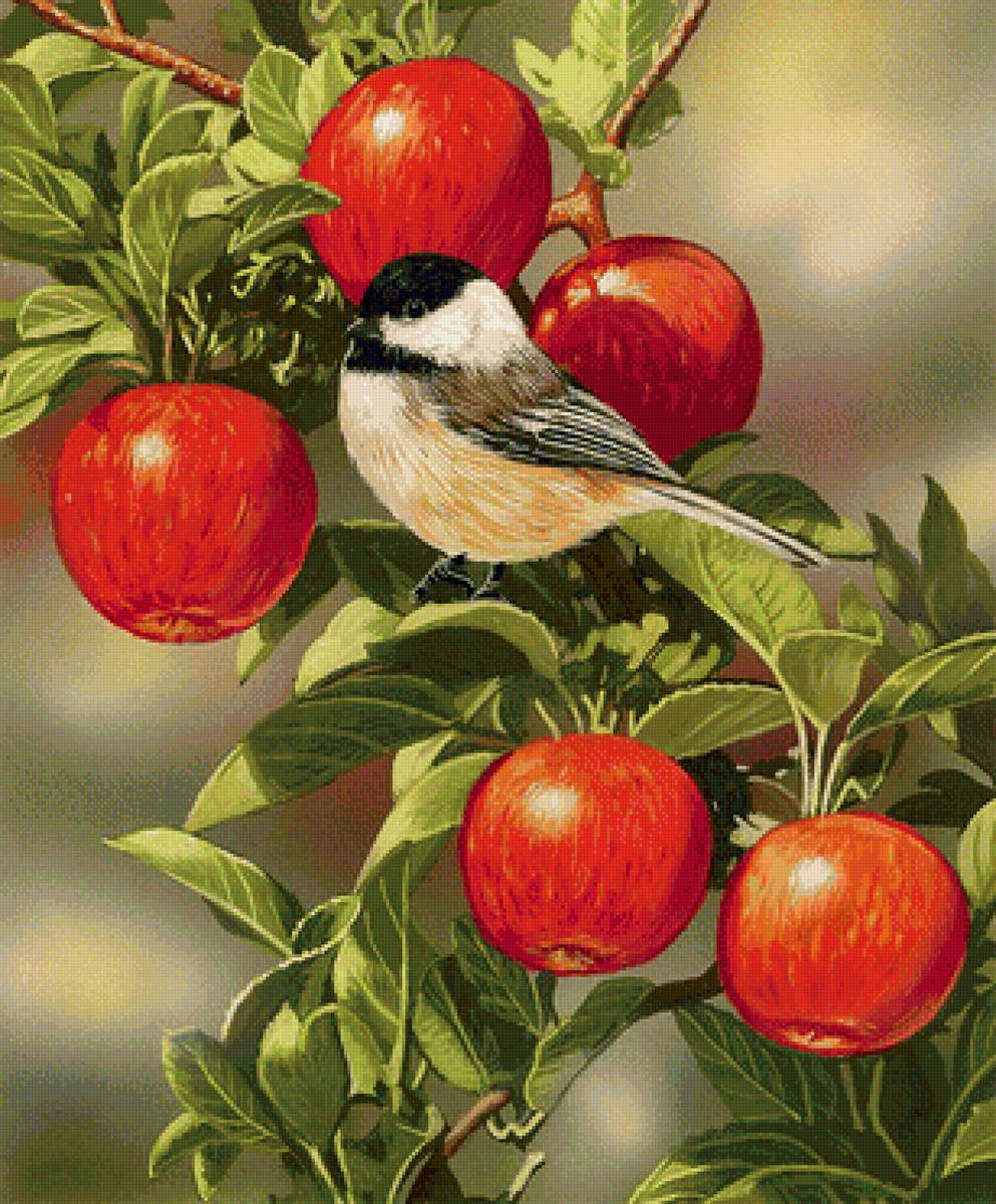 созрели яблоки - яблоки, птичка - предпросмотр