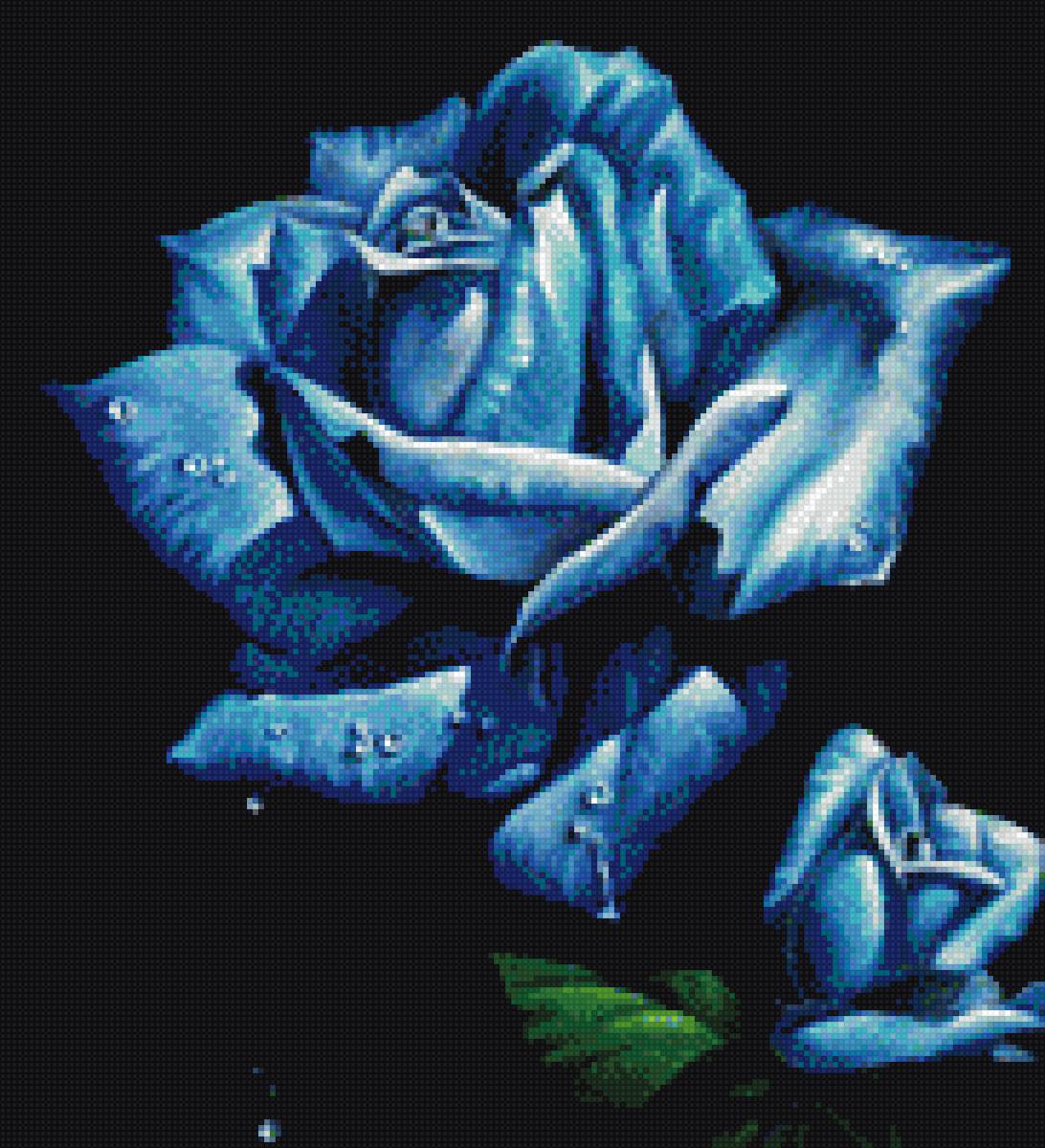 голубая роза 2 - цветы - предпросмотр